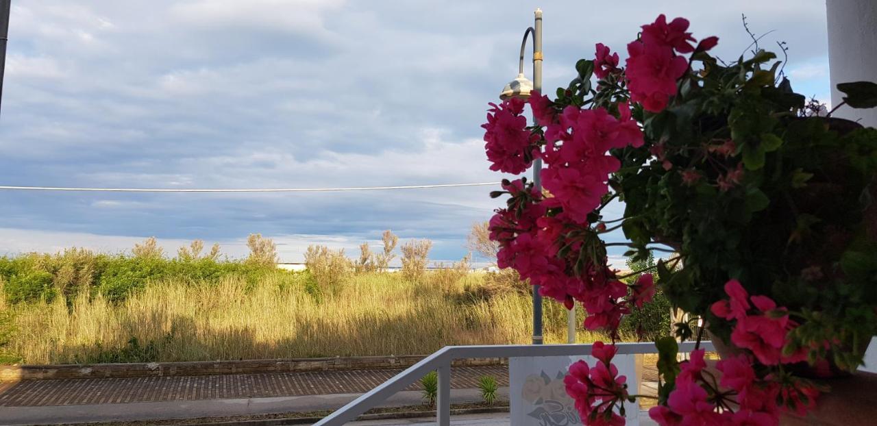 Bed and Breakfast Mari En Кастель-Вольтурно Екстер'єр фото